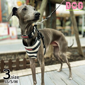 ymg[{[_[J[zhbOJ[ DEOEG  {