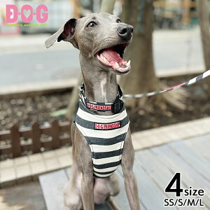 ymg[{[_[n[lXzhbOn[lX DEOEG 8̎ ɂ  킢 {