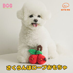 yBITE MEzy`F[[vz  [v ؍uh oCg~[