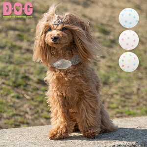 ySUO 18°ICE for dogs CANDY z@DEOEG N[O ACXO COOL N[_E Ђ ₽ Ă̂oKi