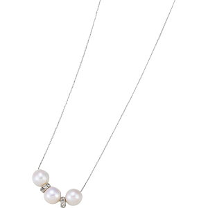 hD[iCXNbv 嗱̒Wp[lbNX 465-0578-02 g ANZT[ lbNX