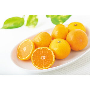 yΕ Nz a̎RYƂĝ݂(5kg) Hi Y_Y _Y