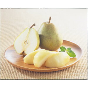 yΕ Nz コ̑ʒI胉EtX 3kg(6~9) Hi Y_Y _Y