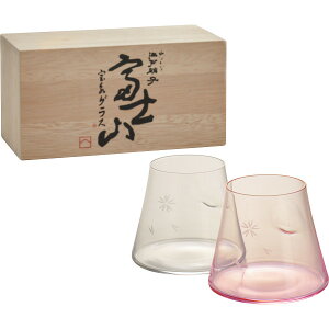 cq ]ˏɎq xmR iOX gyA(ؔ) TG13-014-2CP KXi KXJbv ^u[Zbg