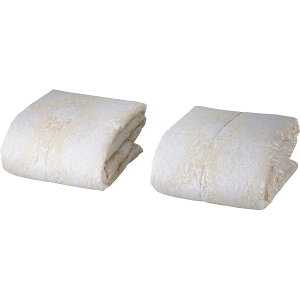 nishikawa EHbVuHє|ӂƂ2Zbg KE03002225300 Qi zcEPbg Hѕzc