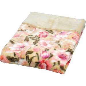 ܕtANj[}C[ѕz(щH) MY-100F Qi ѕz ANѕz