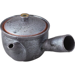 信楽焼 シガラキ急須 Cha-1-2 和陶器 和陶茶器 急須単品