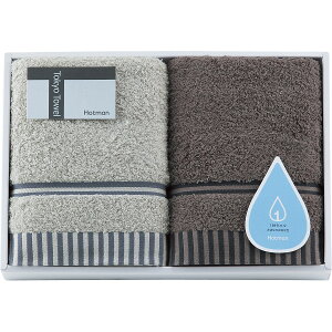 ホットマン 1秒タオル フェイスタオル2枚セット hmtt0004n タオル製品 フェイスタオル 無地カラー2枚