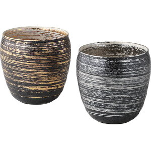 xq F yAĒJbv a aoGeB[ r[JbvWbL