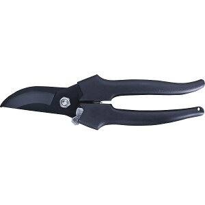 @ yʙ 䏊EpiE[ DIYpi |pi