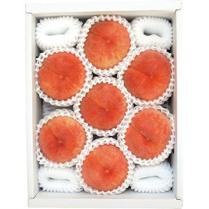 �y�������Ή��z ����(2kg) �H���i �Y���_�Y ��