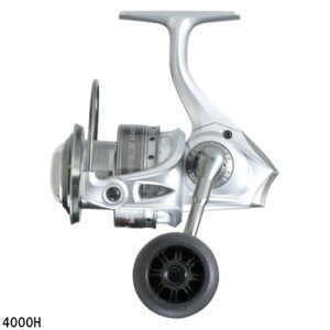 AuKVA J[fBi3 SX 4000H XsjO[