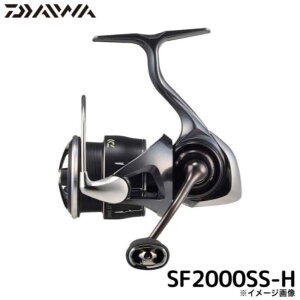 �_�C��(Daiwa) 24 ���r�A�X ST SF2000SS-H (2025�N�ǉ����f��) �X�s�j���O���[��