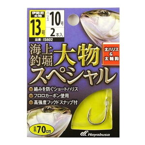 海上釣堀 糸付 大物スペシャル IS602 針13号-ハリス10号 メール便