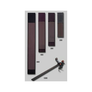 ꐸH(DAIICHISEIKO) [NpS400