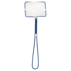 }V(DRAGON) hS Gr SS [