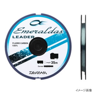 _C(Daiwa) G_X [_[ 35m 1.75 i`O[ [