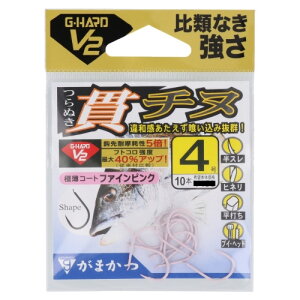 ܂ G-HARD V2 у`k 4 t@CsN 68829 [