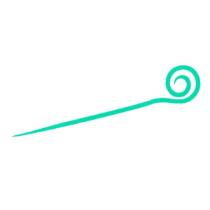 ^J~(TAKAMIYA) ^CoXyAJ[[e[ CO[ [