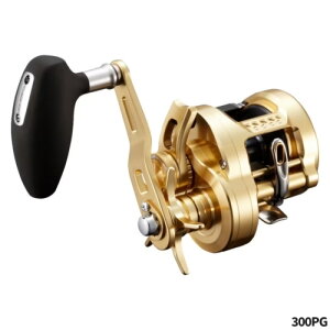 V}m(SHIMANO) IVA RNGXg 300PG RIGHT(E) 22Nf