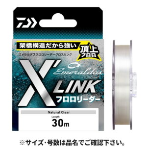 _C(Daiwa) G_X t[_[ XfLINK 30m 2.75 i` [