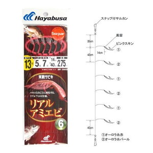 nuT Hayabusa TrL AA~Gr 6{b SS022 j13-nX5 [