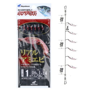 AW AA~Gr HS200 j1-nX0.6 [