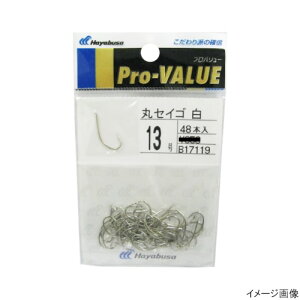 nuT Hayabusa vo[ ۃZCS B17119  13 [