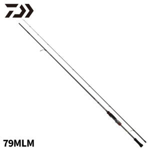 _C(Daiwa) G_X XgCXg RT(AEgKChf) 79MLM 23Nǉf GMObh