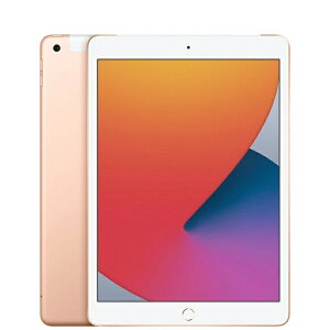 iPadi8j Wi-Fi+Cellular { SIMt[ 128GB 10.2C` iPad2020 Smart KeyboardΉ Apple PencilΉ X^CXyT