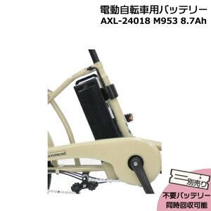 �y20���̓|�C���g�ő�8�{�G���g���[�v�z�����\��2�T�ԁ� AXL-24018 �u���b�N 8.7Ah �V�i �����i �}���C�V �ې΃T�C�N�� ���`�E���C�I���o�b�e���[ �d�����]�� �d���A�V�X�g �d�C�p�i���S�@����
