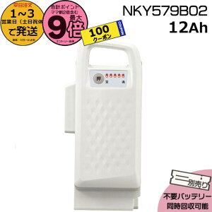 y5100~N[||Cgő9{Gg[vz1`3cƓ NKY579B02 zCg 12Ah Vi i pi\jbN Panasonic `ECIobe[ d] dAVXg dCp