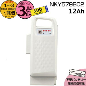 y1100N[||Cg3{Gg[vz1`3cƓ NKY579B02 zCg 12Ah Vi i pi\jbN Panasonic `ECIobe[ d] dAVXg dCpiS@