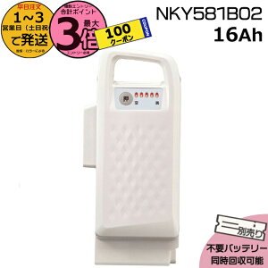 y1100N[||Cg3{Gg[vz1`3cƓ NKY581B02 zCg16Ah Vi i pi\jbN Panasonic `ECIobe[ d] dAVXg dCpiS@