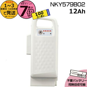 y100~N[||Cgő7{Gg[vz1`3cƓ NKY579B02 zCg 12Ah Vi i pi\jbN Panasonic `ECIobe[ d] dAVXg dCpi