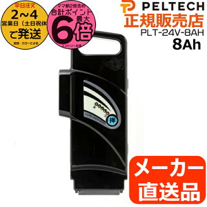 y10̓|Cg6{Gg[vz2`4cƓPLT-24V-8AH yebNp dAVXg]ԃobe[ Vi i `ECIobe[ XyAobe[ d] dCp