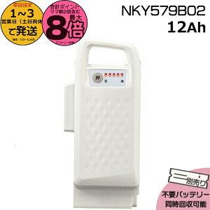 y|Cgő8{Gg[vz1`3cƓ NKY579B02 zCg 12Ah Vi i pi\jbN Panasonic `ECIobe[ d] dAVXg dCpiS@dCp