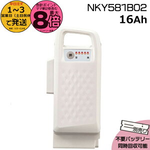 y|Cgő8{Gg[vz1`3cƓ NKY581B02 zCg16Ah Vi i pi\jbN Panasonic `ECIobe[ d] dAVXg dCpiS@dCp