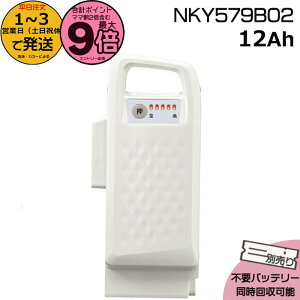 y|Cgő9{Gg[vz1`3cƓ NKY579B02 zCg 12Ah Vi i pi\jbN Panasonic `ECIobe[ d] dAVXg dCpiS@dCp