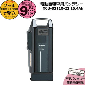 y|Cgő9{Gg[vz2`4cƓ X0U-82110-22 ubN 15.4Ah Vi i }n `ECIobe[ d] dCpiS@dCpiPSE}[N擾i PASo