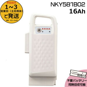 1`3cƓ NKY581B02 zCg16Ah Vi i pi\jbN Panasonic `ECIobe[ d] dAVXg dCpiS@dCpiPSE}[N擾i op