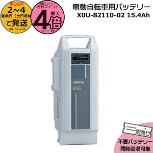 y30̓|Cgő4{Gg[vz2`4cƓ X0U-82110-02 zCg 15.4Ah Vi i }n `ECIobe[ d] dCpiS@dCpiPSE}[N擾