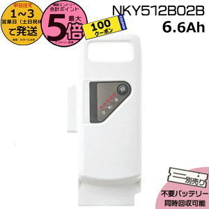 �y100�~�N�[�|���撅&�|�C���g5�{�G���g���[�v�z��1�`3�c�Ɠ������� NKY512B02B �z���C�g 6.6Ah �V�i �����i �p�i�\�j�b�N Panasonic ���`�E���C�I���o�b�e���[ ��NKY512B02 �d���A�V�X�g �d�C�p�i���S