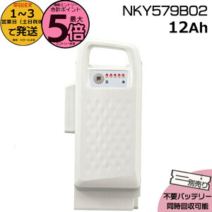 y|Cgő5{Gg[vz1`3cƓ NKY579B02 zCg 12Ah Vi i pi\jbN Panasonic `ECIobe[ d] dAVXg dCpiS@dCp