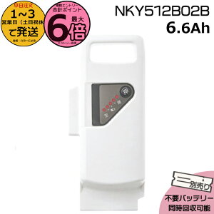 �y�|�C���g�ő�6�{�G���g���[�v�z��1�`3�c�Ɠ������� NKY512B02B �z���C�g 6.6Ah �V�i �����i �p�i�\�j�b�N Panasonic ���`�E���C�I���o�b�e���[ ��NKY512B02 �d���A�V�X�g �d�C�p�i���S�@����d�C�p