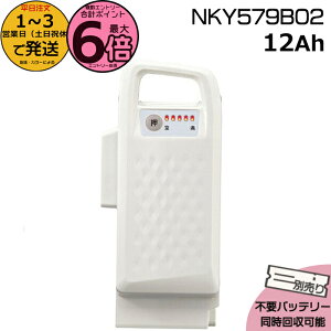 y|Cgő6{Gg[vz1`3cƓ NKY579B02 zCg 12Ah Vi i pi\jbN Panasonic `ECIobe[ d] dAVXg dCpiS@dCp