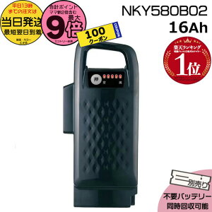y5100~N[||Cgő9{Gg[vz 13 NKY580B02 ubN16Ah Vi i pi\jbN Panasonic `ECIobe[ d] dAV