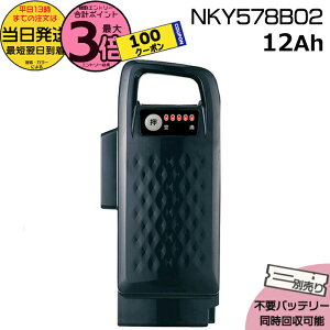 y1100N[||Cg3{Gg[vz 13 NKY578B02 ubN 12Ah Vi i pi\jbN Panasonic `ECIobe[ d] dAVXg d