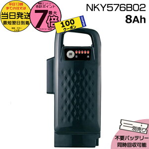 y100~N[||Cgő7{Gg[vz 13 NKY576B02 ubN 8Ah Vi i pi\jbN Panasonic `ECIobe[ d] dAVXg 