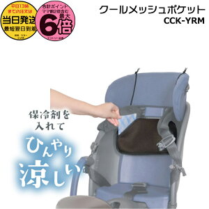 y20͍ő6{Gg[vz13  /䂤pPbg|Xg/ CCK-YRM N[bV|Pbg `ChV[gp uE ΍ MǑ΍ ܑۗΉ N